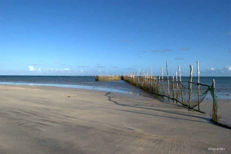 Photographs of the village and the beach of São Miguel dos Milagres - Alagoas State