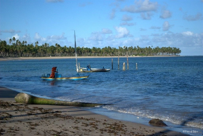 Photographs of the village and the beach of São Miguel dos Milagres - Alagoas State