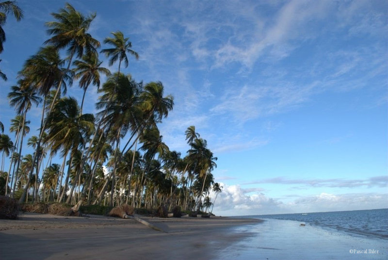 Photographs of the village and the beach of São Miguel dos Milagres - Alagoas State