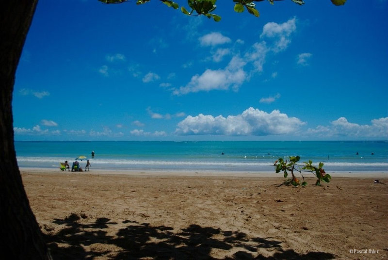 Photographs of the village and the beach of São Miguel dos Milagres - Alagoas State