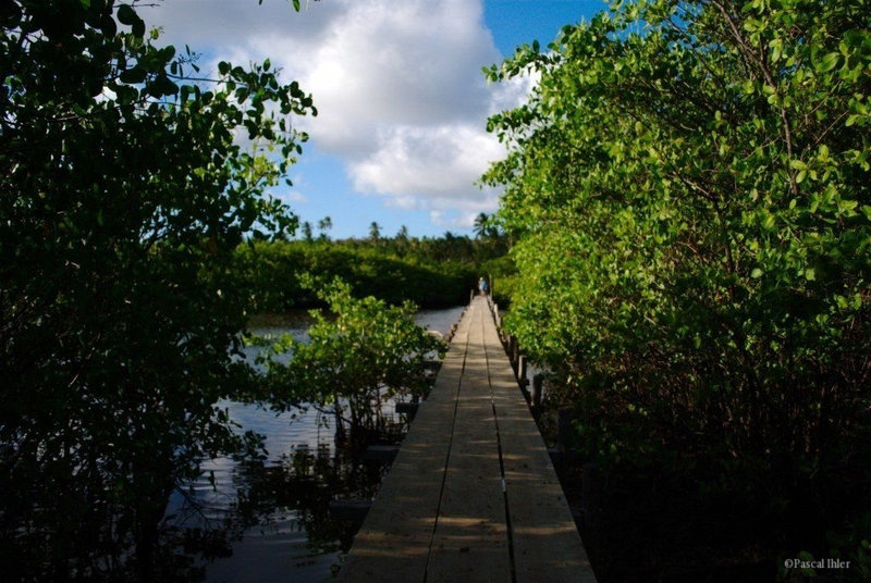 Photographs of the village and the beach of São Miguel dos Milagres - Alagoas State