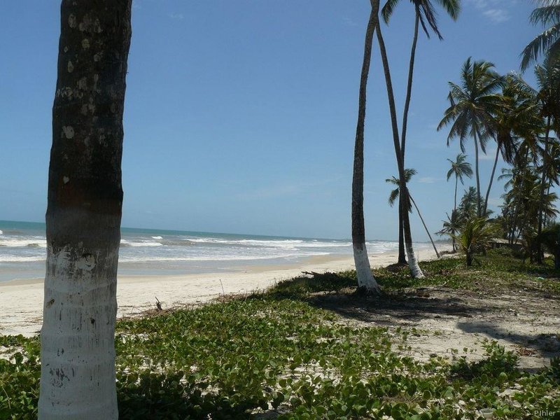 Beach of Canavieiras - Bahia State