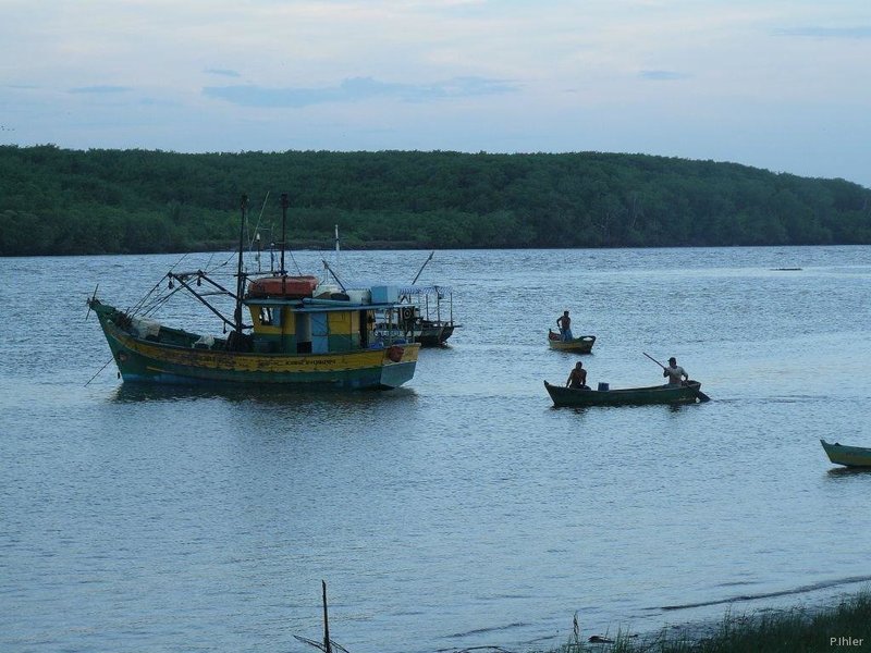 Fishing port of Canavieiras - Bahia State