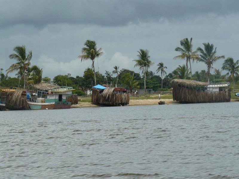 Fishing port of Canavieiras - Bahia State