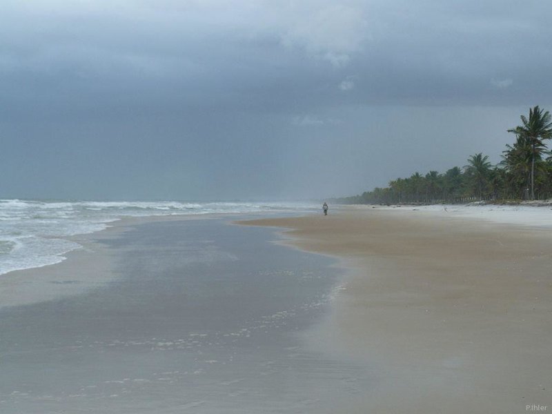 Beach of Canavieiras - Bahia State