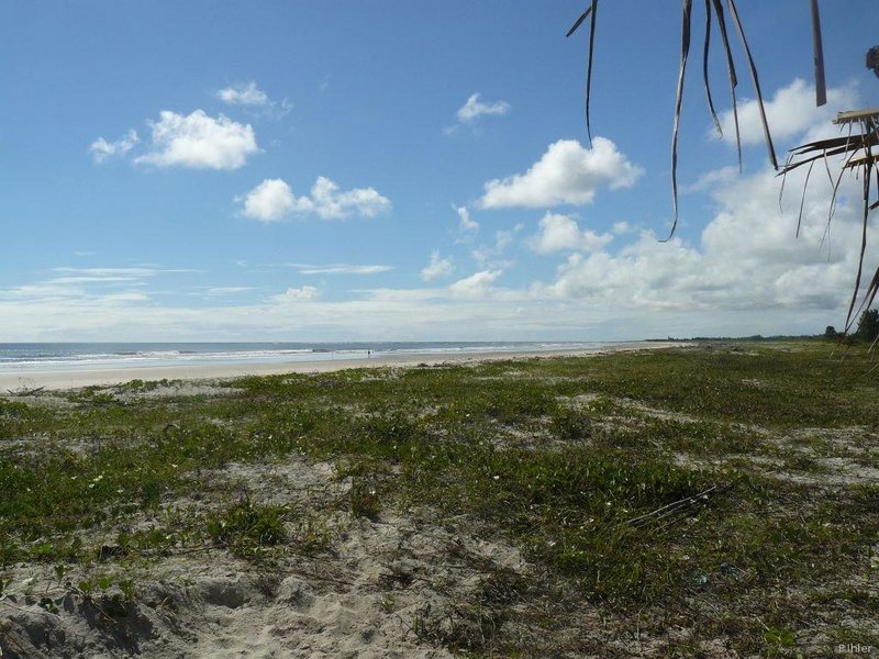 Beach of Canavieiras - Bahia State