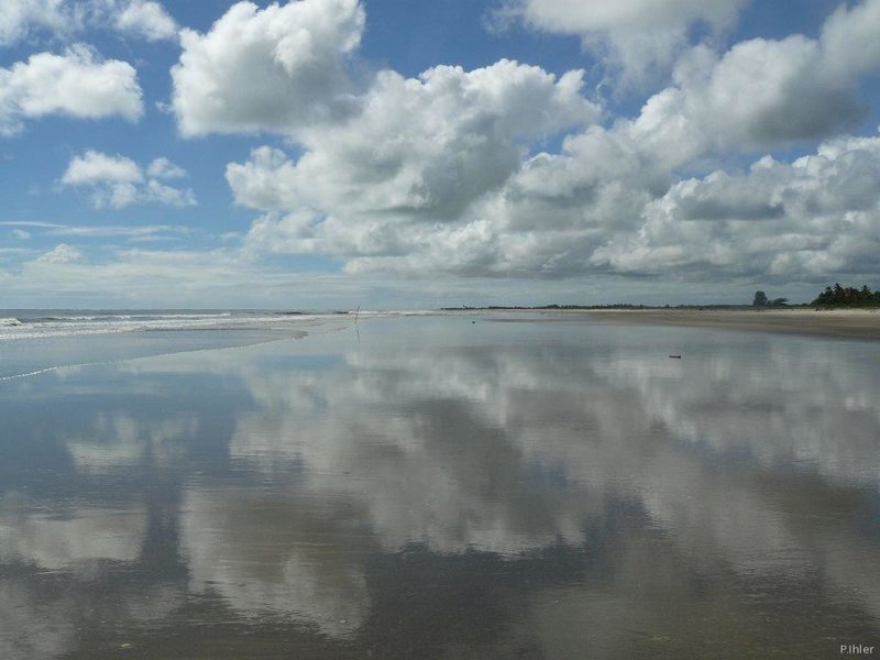 Beach of Canavieiras - Bahia State