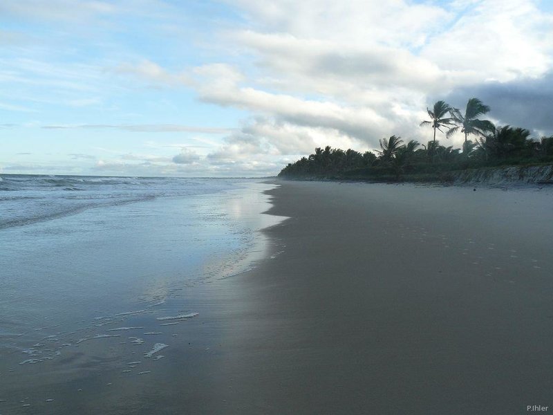 Beach of Canavieiras - Bahia State