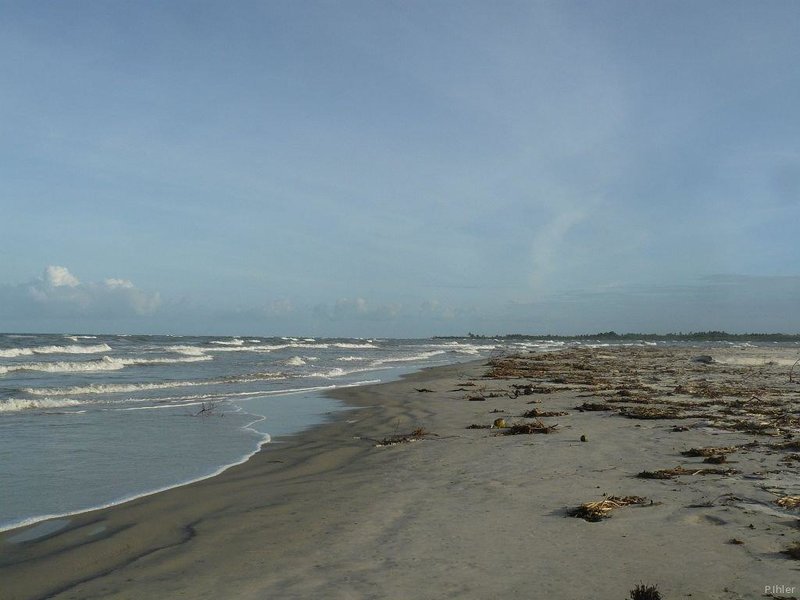 Beach of Canavieiras - Bahia State