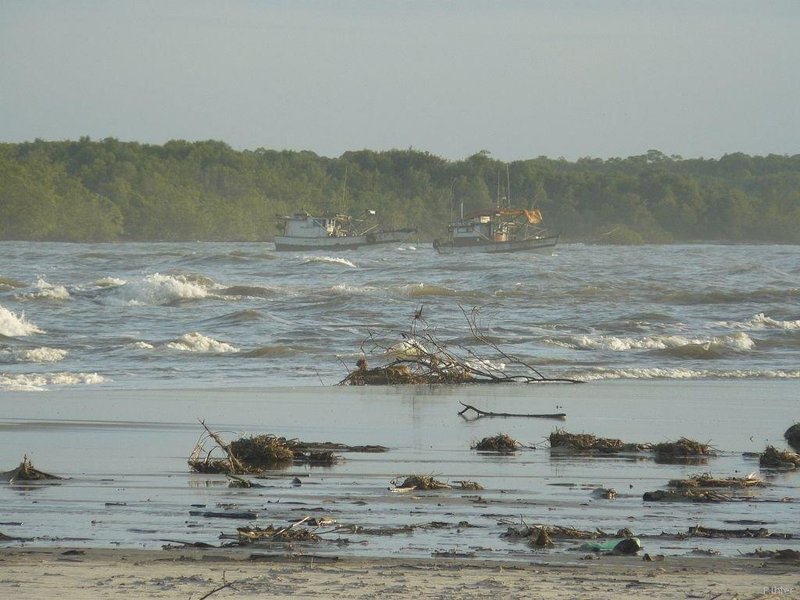 Beach of Canavieiras - Bahia State