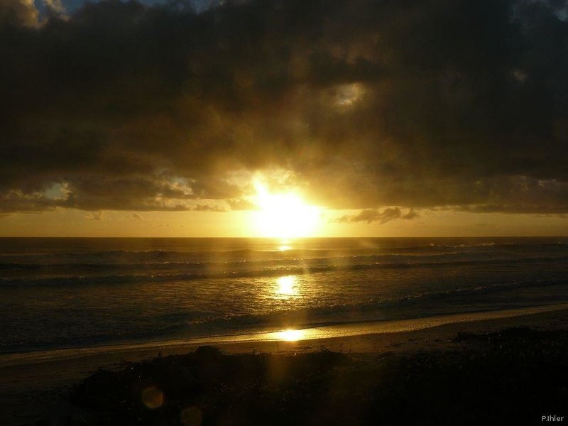 Beach of Canavieiras - Bahia State