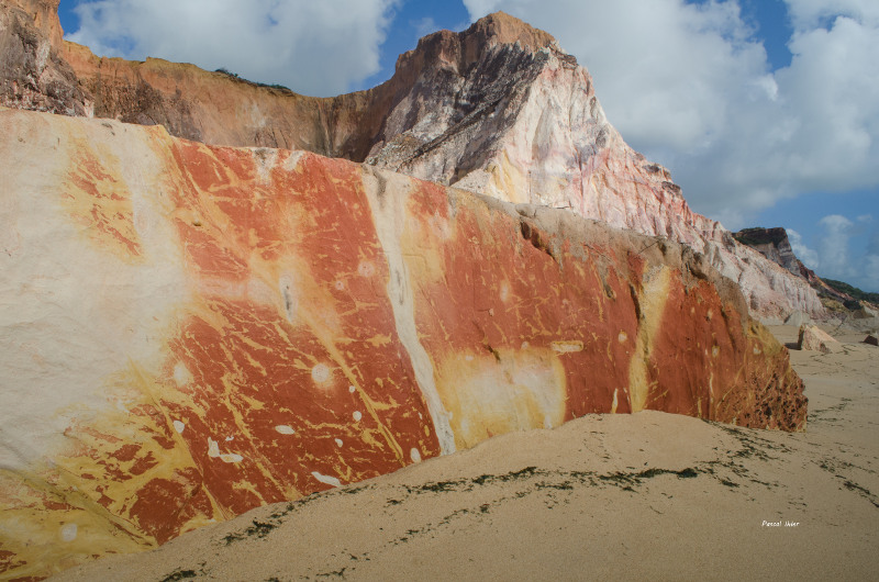 Clay cliffs eroded from the South Coast of the State of Paraíba