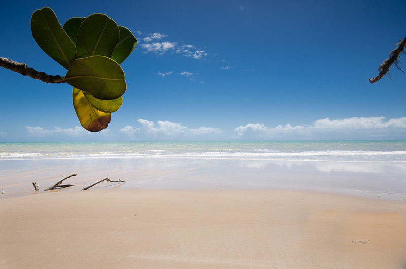 Photograph of the beachs of Cumuruxatiba - Bahia State