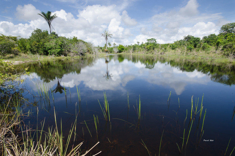 Photograph of the beachs of Cumuruxatiba - Bahia State