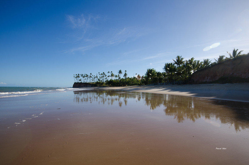 Photograph of the beachs of Cumuruxatiba - Bahia State