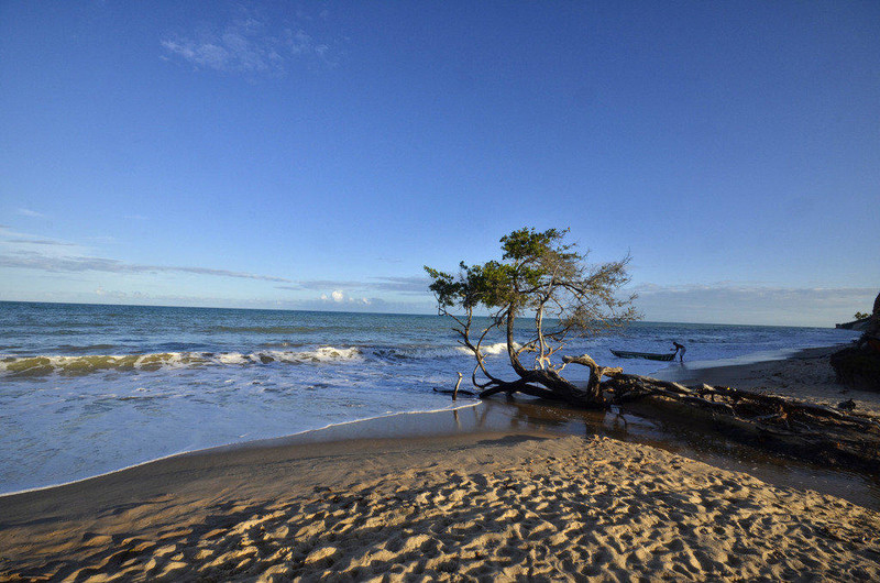 Photograph of the beachs of Cumuruxatiba - Bahia State