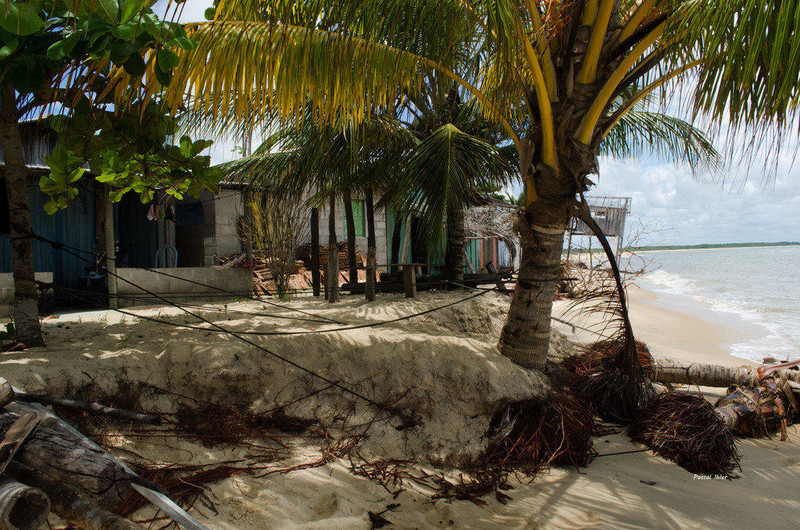 Photograph of the beachs of Cumuruxatiba - Bahia State