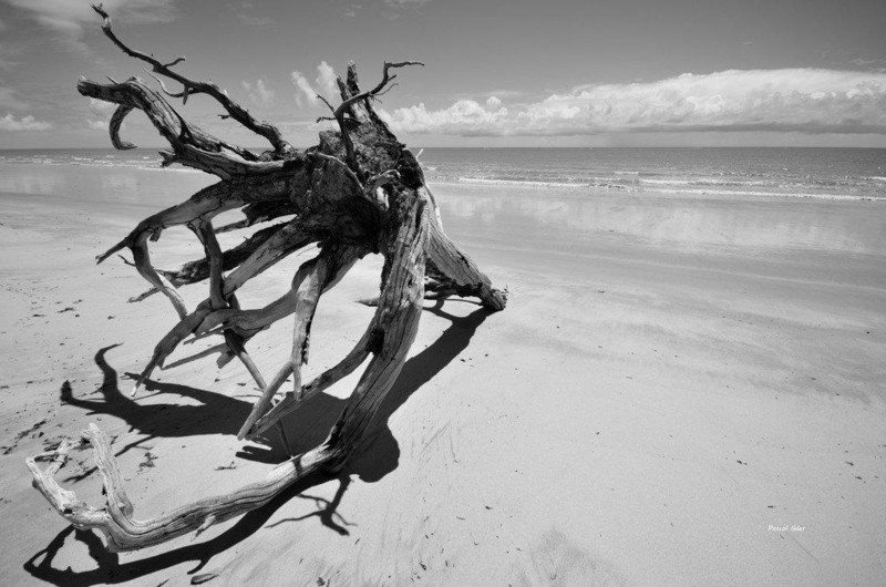 Photograph of the beachs of Cumuruxatiba - Bahia State